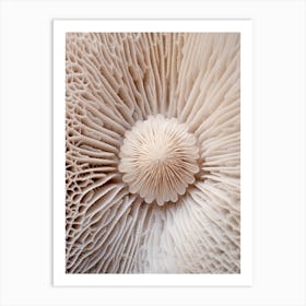 Mushroom Photography 7 Art Print