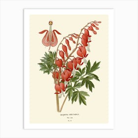 Bleeding Heart Art Print