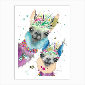 Llamas Art Print