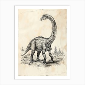 Camarasaurus Dinosaur Black Ink Illustration 3 Art Print