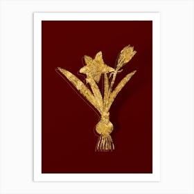 Vintage Hippeastrum Botanical in Gold on Red n.0149 Art Print