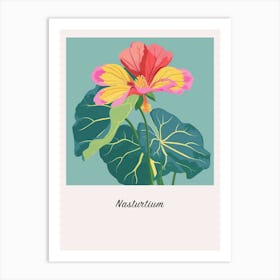 Nasturtium 3 Square Flower Illustration Poster Art Print