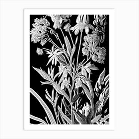 Prairie Milkweed Wildflower Linocut 2 Art Print