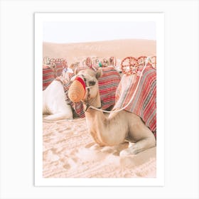 Resting Camel In Desert Art Print