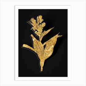 Vintage False Helleborine Botanical in Gold on Black n.0237 Art Print