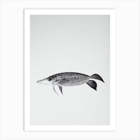 Cuttlefish Black & White Drawing Art Print