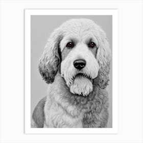 Irish Water Spaniel B&W Pencil Dog Art Print