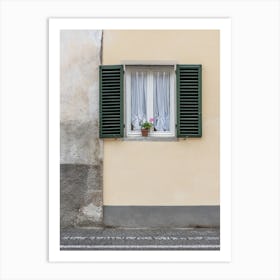 Window With Green Shutters 1 Art Print