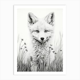 Arctic Fox In A Field Pencil Drawing 3 Art Print