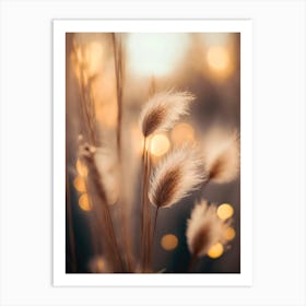 Pampas Grass At Sunrise Art Print