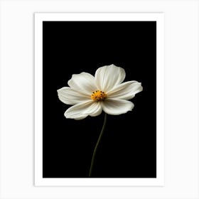 White Flower 14 Art Print