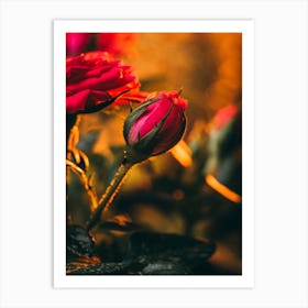 Poster Flower Art Print 14 Art Print