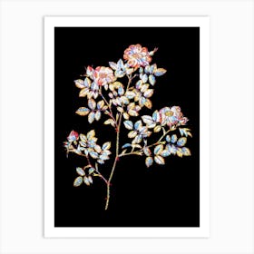 Stained Glass Rose Corymb Mosaic Botanical Illustration on Black n.0008 Art Print