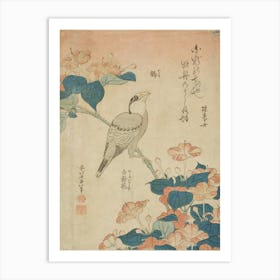 Grosbeak And Mirabilis, Katsushika Hokusai Art Print