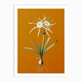 Vintage Streambank Spiderlily Botanical on Sunset Orange Art Print