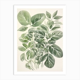 Green Botanica 4 Art Print