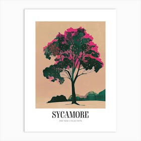 Sycamore Tree Colourful Illustration 3 Poster Art Print