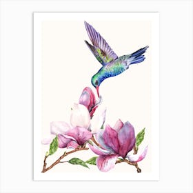 Hummingbird On Magnolia Flower Art Print