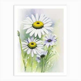 Oxeye Daisy Wildflower Watercolour Art Print