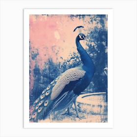 Peacock In The Fountain Pink & Blue Cyanotype Inspired 1 Art Print