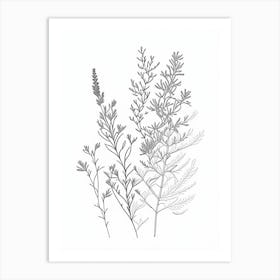 Thyme Herb William Morris Inspired Line Drawing 3 Art Print