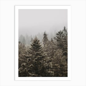 Green Pine Forest Art Print