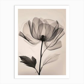 Black And White Flower 3 Art Print