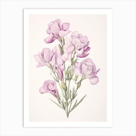 Freesias Flower Vintage Botanical 2 Art Print