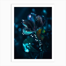 Dark Blue Flower Art Print