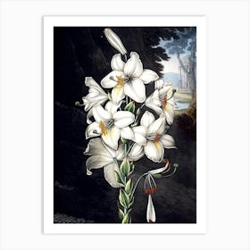 Lily Of The Valley Art Print