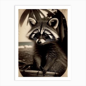 Tropical Raccoon Vintage Photography Art Print