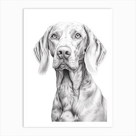 Weimaraner Dog, Line Drawing 1 Art Print