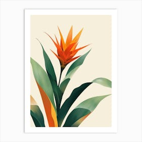 Bromeliad Plant Minimalist Illustration 2 Art Print