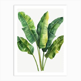 Banana Leaves 32 Art Print