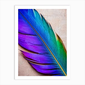 Multicolored Bird Feather Fusing Shades Of Blue Yellow Red Purple Pink Green Cast Against A N Art Print