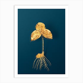 Vintage Tri Flower Botanical in Gold on Teal Blue Art Print