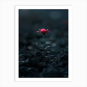 Single Flower In The Dark 29 Art Print