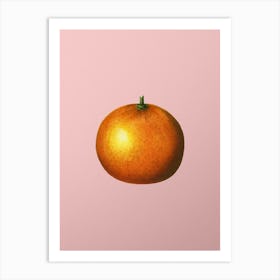 Vintage Orange Botanical on Soft Pink n.0827 Art Print