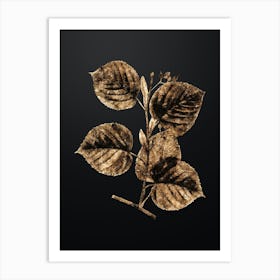 Gold Botanical Linden Tree Branch on Wrought Iron Black n.0691 Art Print