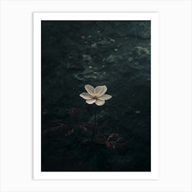 Lotus Flower 41 Art Print