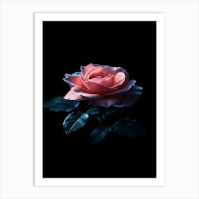 Pink Rose On Black Background 72 Art Print