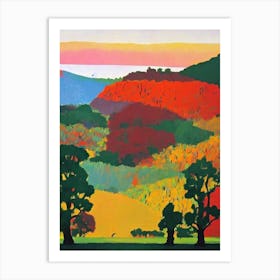 Ranthambore National Park India Abstract Colourful Art Print