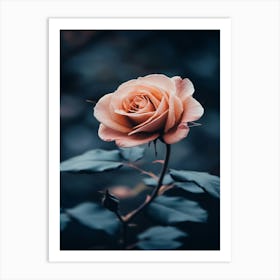 Roses Wallpaper 4 Art Print