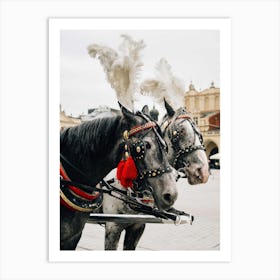 Carriage Horses In Krakow Art Print