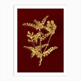 Vintage Calophaca Wolgarica Botanical in Gold on Red n.0609 Art Print