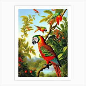 Parrot Haeckel Style Vintage Illustration Bird Art Print
