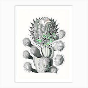 Acanthocalycium Cactus William Morris Inspired 1 Art Print