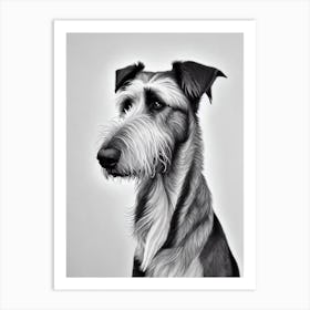 Irish Wolfhound B&W Pencil Dog Art Print