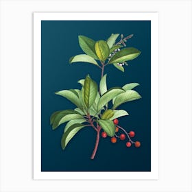 Vintage Greek Strawberry Tree Botanical Art on Teal Blue n.0890 Art Print