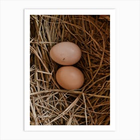 Two Eggs In A Nest Art Print